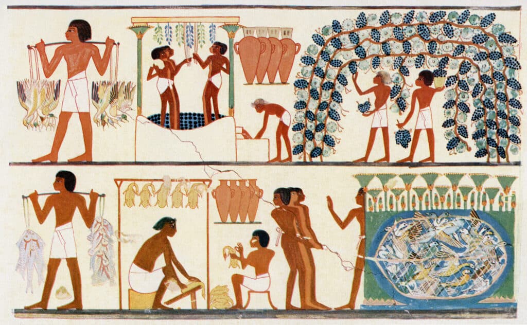 Wine in Ancient Egypt
