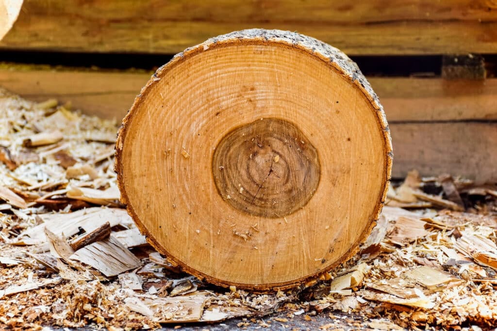 cut timber